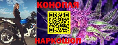 гидра Гусиноозёрск