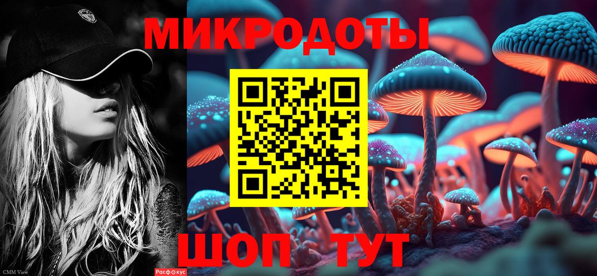 Мирный  Псилоцибиновые грибы Magic Shrooms  Вход с VPN  Псилоцибиновые грибы Psilocybine cubensis 