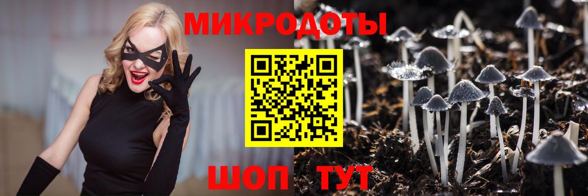 Галлюциногенные грибы Psilocybine cubensis Мирный
