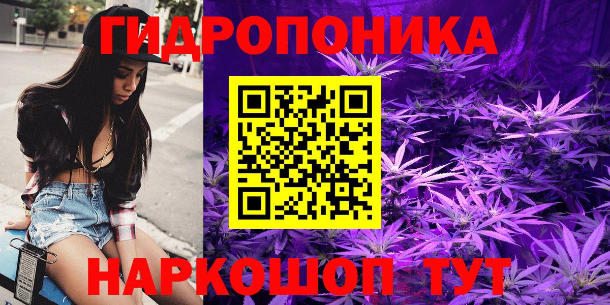 Бошки марихуана гибрид Мирный
